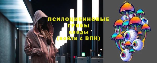 гидра Белоозёрский