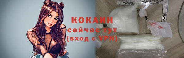 гидра Белоозёрский
