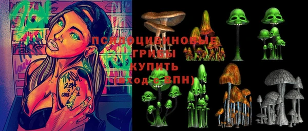 гидра Белоозёрский