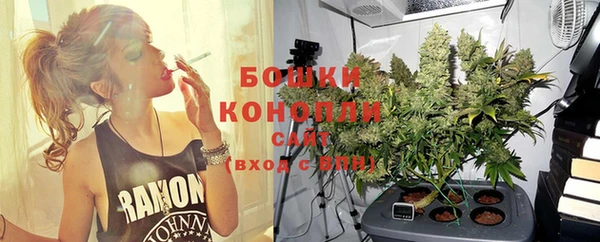 гидра Белоозёрский