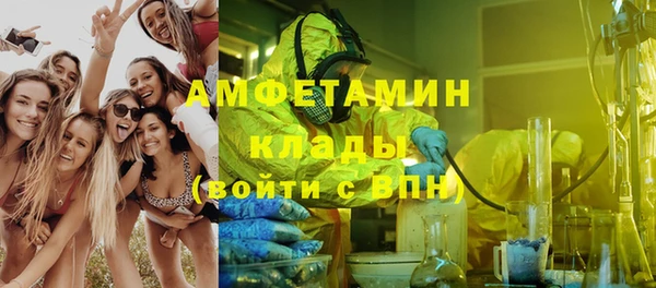 гидра Белоозёрский