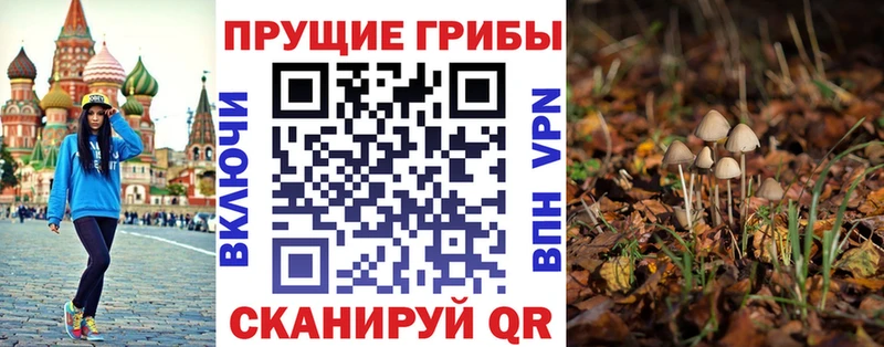 Псилоцибиновые грибы Cubensis  Михайлов 